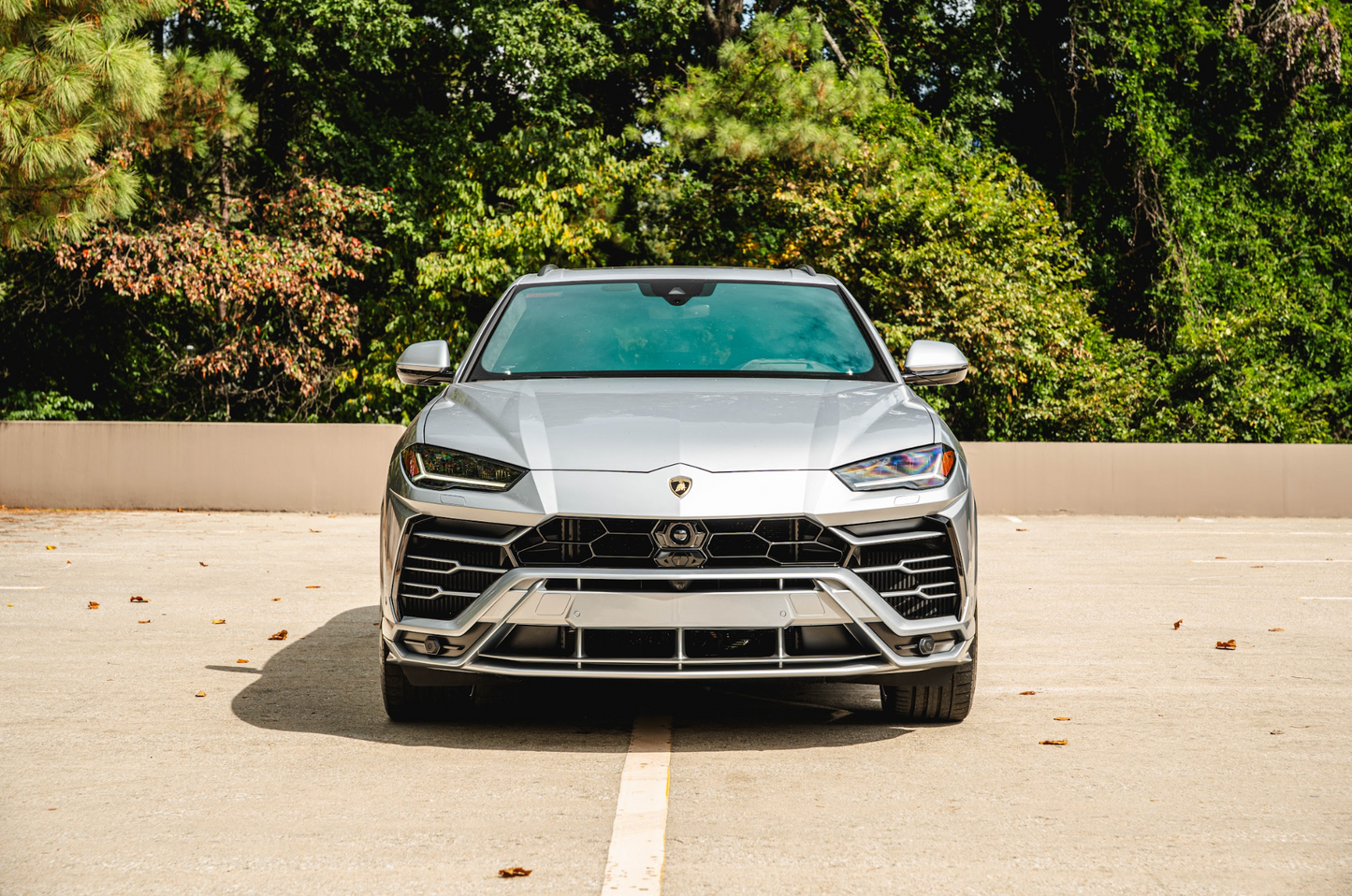 Lamborghini Urus Silver