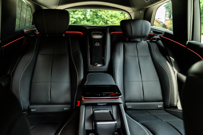 Mercedes-Maybach GLS 600 (Driver Included)